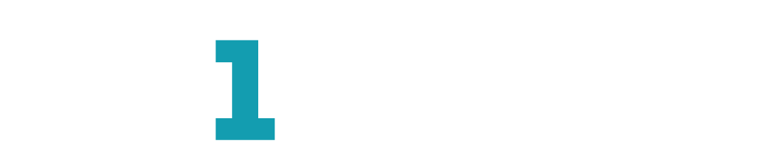 Logo Skin One